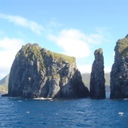Gough and Inaccessible Islands