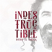 Diego El Cigala, Indestructible
