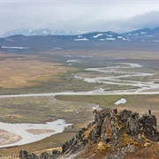 National Petroleum Reserve