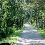 New Orleans Northshore