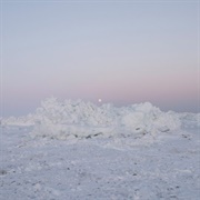 Billy Woods - Terror Management