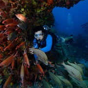 Pedras Secas, Fernando De Noronha, Brazil