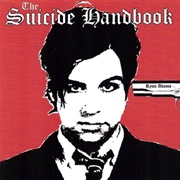Ryan Adams - The Suicide Handbook (2001)