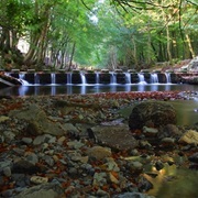 Tollymore Forest Park