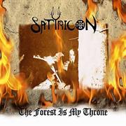 Satyricon - The Forest Is My Throne
