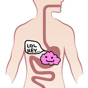 Swallowed Chewing Gum Takes Seven Years to Digest