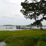 Celebrate My Birthday in a House on the Coast