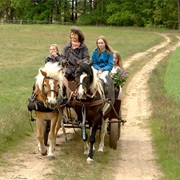 Carriage Tour