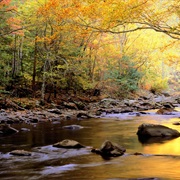 Great Smoky Mountains National Park (TN)