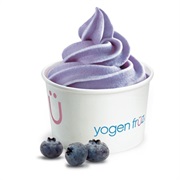 Blueberry Frozen Yogurt