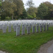 Notre-Dame-Des-Neiges Cemetary