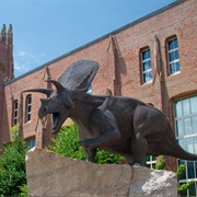 Yale Peabody Museum of Natural History