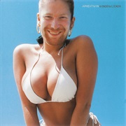 Aphex Twin - Windowlicker (1999)