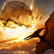 All Dinosaurs Became Extinct During the Cretaceous-Paleogene Extinction Event