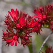 Greater Preston National Park (WA)