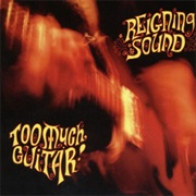 Reigning Sound - Too Much Guitar