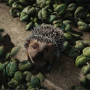 Hedgehog