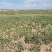 Cimarron National Grassland