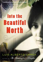 Into the Beautiful North