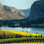 Okanagan Wine Country