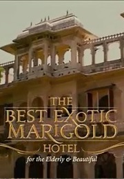 Best Exotic Marigold Hotel,The (2011)