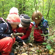 Find One Thing for Each Letter of the Alphabet (B = Bee)