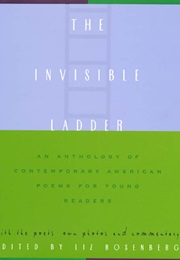 The Invisible Ladder (LIZ ROSENBERG)
