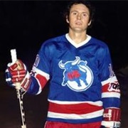 Toronto Toros (WHA)