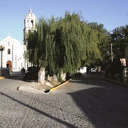 Estado De Coahuila - Arteaga