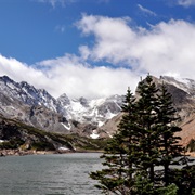 Roosevelt National Forest