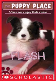 Puppy Place: Flash (Ellen Miles)