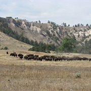 Fort Robinson State Park, Nebraska