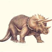 Three Horn (Triceratop)