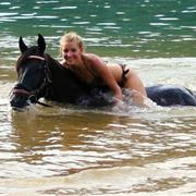 Swim With Horses