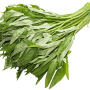 Chinese Morning Glory