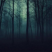 Hylophobia-Fear of the Forest