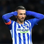 Vedad Ibisevic
