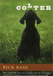 Colter: The True Story of the Best Dog I Ever Had (Rick Bass)