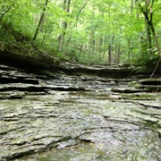 O'Bannon Woods State Park
