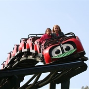 Lieveheersbeestjes (Julianatoren, Netherlands)