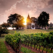 Wineries of Niagara, ON