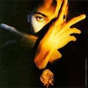 Terence Trent D&#39;Arby - Neither Fish nor Flesh