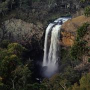 Guy Fawkes River National Park (NSW)