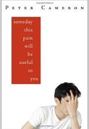 Someday This Pain Will Be Useful to You (Peter Cameron)
