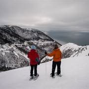 Snowshoe/Ski Skyline Trail