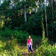 Learn Jungle Survival Skills