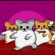 Hampster Dance