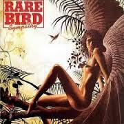 Rare Bird- Sympathy