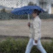 Walking Through a Light Drizzle