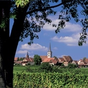 Mittelbergheim, Alsace, France